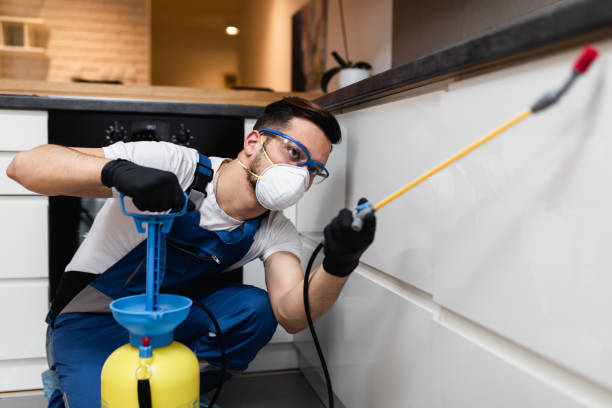 Reliable Covington, GA Pest Control Solutions