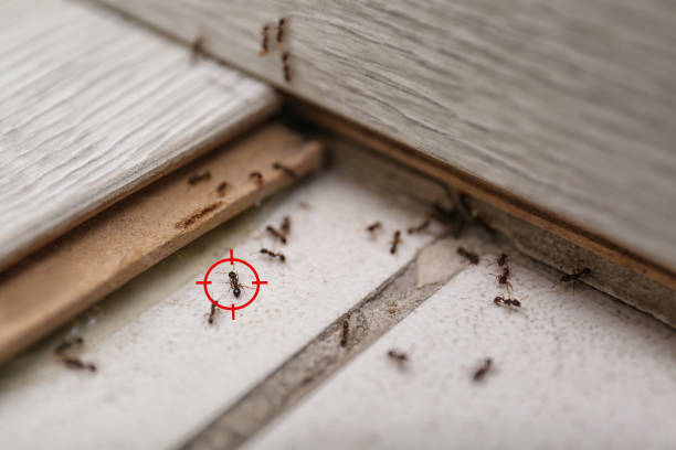 Covington, GA Pest Control Company