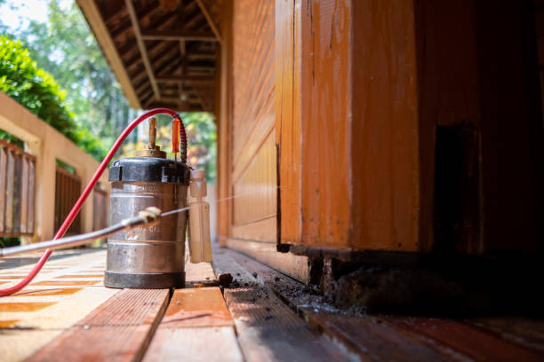 Best Best Pest Control Companies  in Covington, GA
