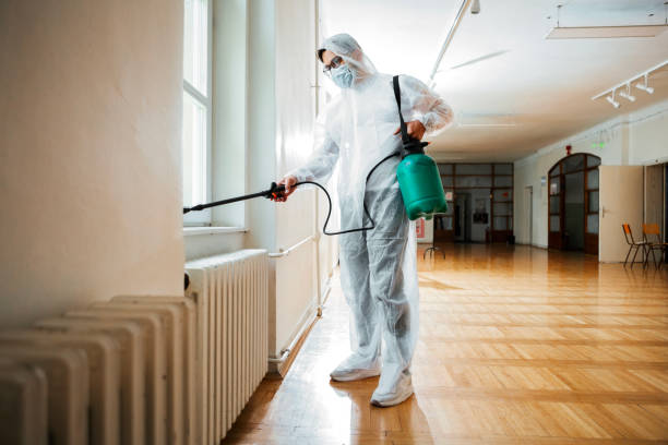 Best Insect Control  in Covington, GA